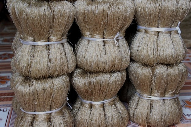 Lo ngại các sản phẩm miến dong chất tẩy trắng, nhiều bà nội trợ đã "mách" nhau săn miến dong vùng cao từ trước Tết. Ảnh: Internet