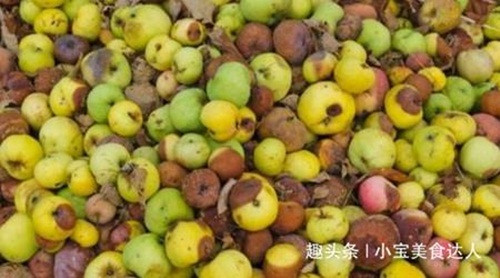 Ngoài hồng táo tươi, những quả táo bầm dập, nhìn tưởng hỏng cũng có thể chế biến thành món đồ uống thơm ngon, thậm chí còn đem lại giá trị kinh tế cực cao. Ảnh: Chuangyejia