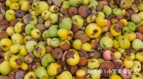 Ngoài hồng táo tươi, những quả táo bầm dập, nhìn tưởng hỏng cũng có thể chế biến thành món đồ uống thơm ngon, thậm chí còn đem lại giá trị kinh tế cực cao. Ảnh: Chuangyejia