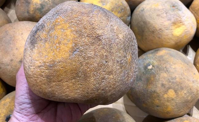 Dù vỏ bưởi héo, có chỗ mốc meo nhưng tép bưởi bên trong vẫn thơm ngon và ngọt. Ảnh: Internet