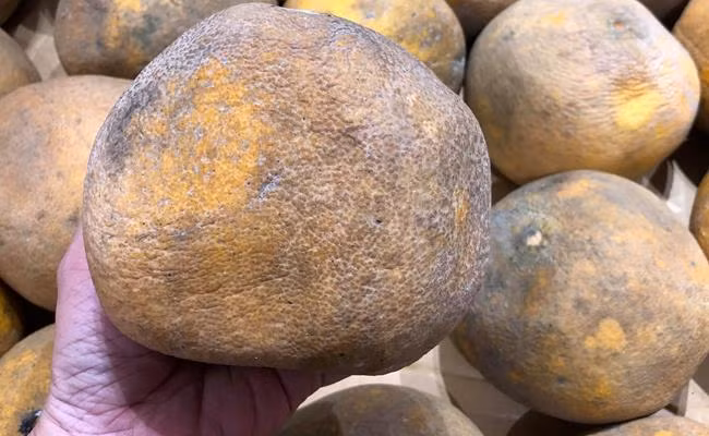 Dù vỏ bưởi héo, có chỗ mốc meo nhưng tép bưởi bên trong vẫn thơm ngon và ngọt. Ảnh: Internet