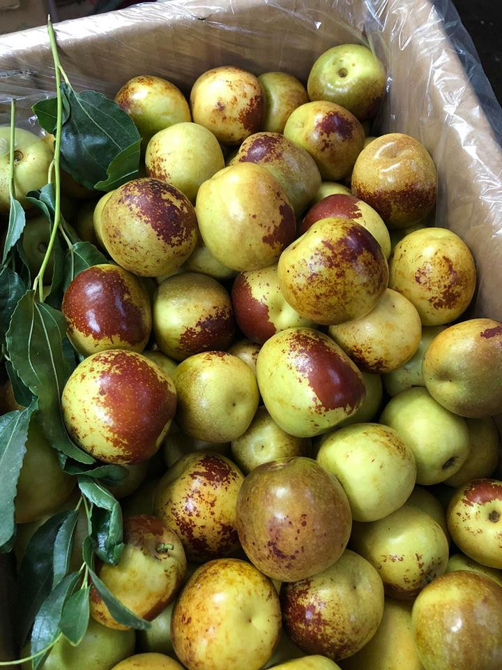 Trên thị trường, hồng táo tươi được bán phổ biến với giá khoảng 80.000-100.000 đồng/kg. Tuy nhiên, cũng có thời điểm giá lên tới 300.000 - 400.000 đồng/kg. Ảnh: Hoaquauudam