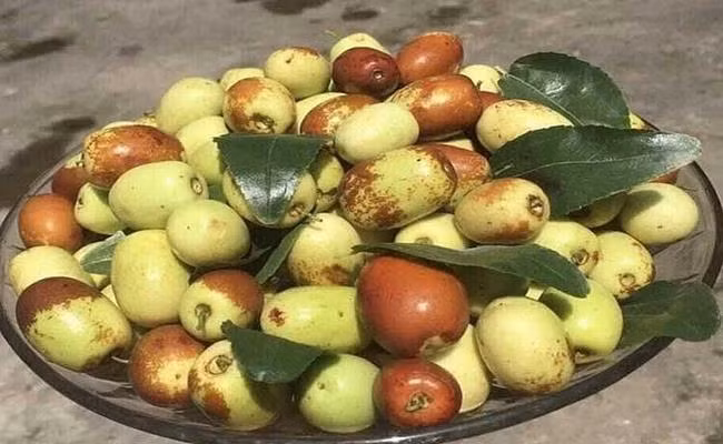 Một số đầu mối chuyên cung cấp hồng táo tươi ở Hà Nội cho biết thường bán buôn theo thùng, mỗi thùng 10kg. Do hút khách nên mỗi ngày các đầu mối bán được cả tạ hồng táo tươi. Ảnh: Dân Việt