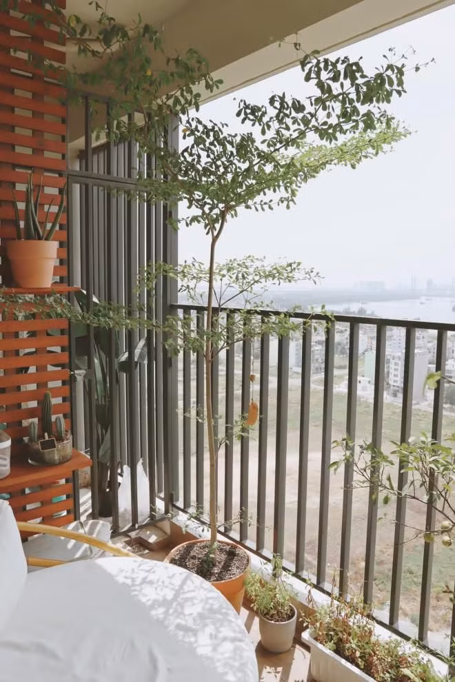 Ban công trở thành không gian thư giãn. Nguồn ảnh: FNBV.