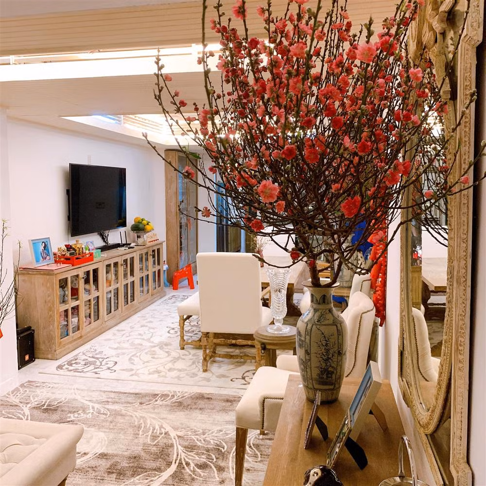 Cành đào nở hoa rực rỡ, bừng sáng cả không gian.