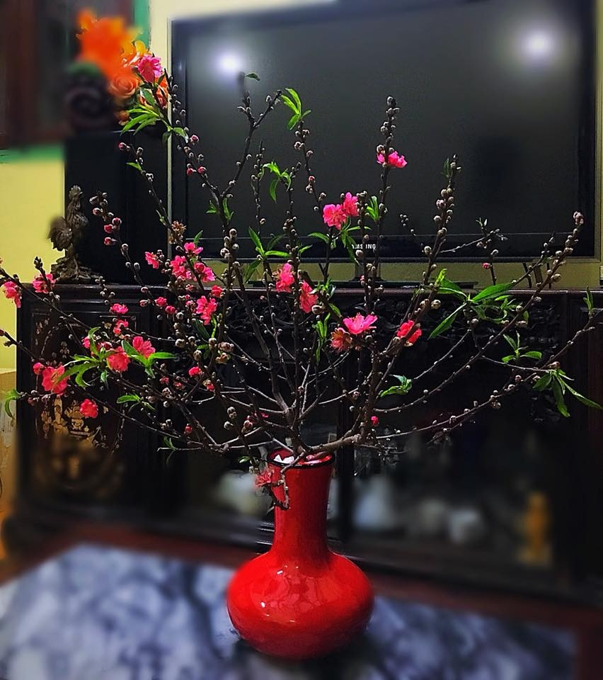 Là biểu tượng mùa xuân ở miền Bắc, hoa đào rất được ưa chuộng trong dịp Tết Nguyên đán. Không những có giá trị trang trí, làm đẹp cho ngôi nhà, mà hoa đào còn mang những ý nghĩa đặc biệt. Đó là niềm tin về một năm mới an lành, hạnh phúc, gia đình yên ấm, thuận hòa.