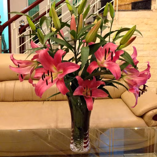 Là loài hoa đẹp được chưng nhiều vào dịp tết, hoa ly không những đem đến vẻ đẹp sang trọng, quý phái mà còn tỏa ra mùi thơm rất dễ chịu. Hoa ly có nhiều màu sắc như màu hồng, màu trắng...