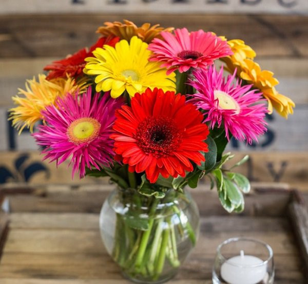 Với ý nghĩa to lớn tượng trưng cho vẻ đẹp, hạnh phúc, tiền tài, đồng tiền được nhiều gia đình chọn chưng trong nhà vào dịp tết đến, xuân về.