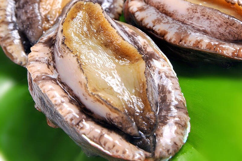 Quá trình thu hoạch bào ngư rất khó khăn và tốn kém nên chúng có giá thành khá cao. Bào ngư sống giá từ 800.000 - 1,2 triệu đồng/kg.