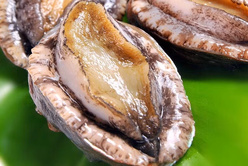 Quá trình thu hoạch bào ngư rất khó khăn và tốn kém nên chúng có giá thành khá cao. Bào ngư sống giá từ 800.000 - 1,2 triệu đồng/kg.