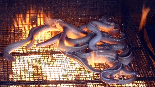 Thịt của cá mút đá được đánh giá ngon, ngọt và sần sật. Người ta mua về có thể chế biến thành món nướng, xào lăn, chiên, làm lẩu....