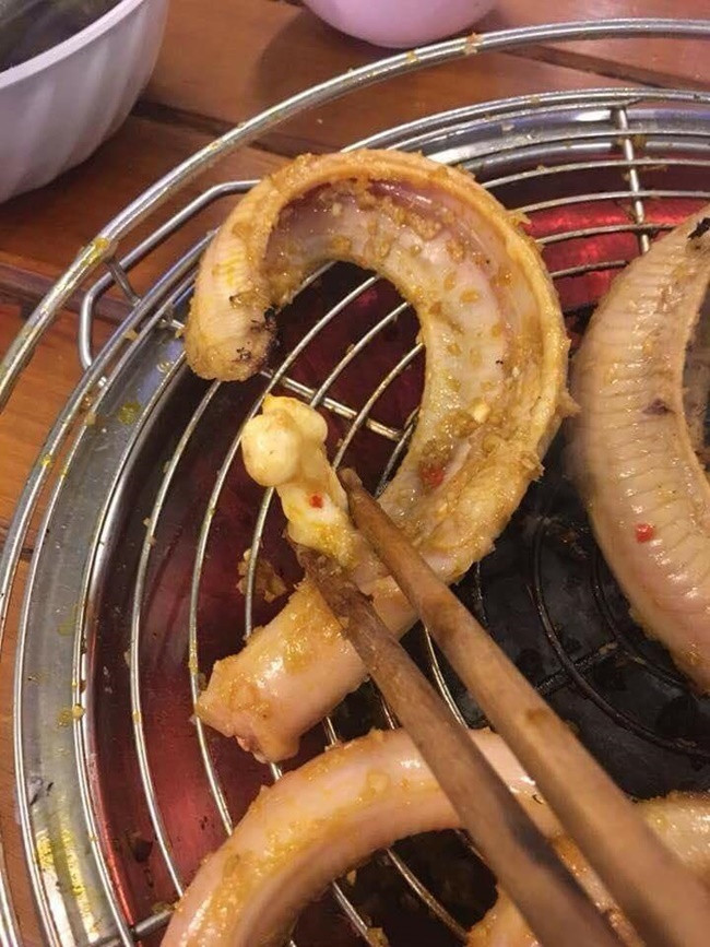 Dù hình dáng đáng sợ nhưng giá cá mút đá hiện nay diao động ở mức khoảng 150.000 – 250.000 đồng/kg.