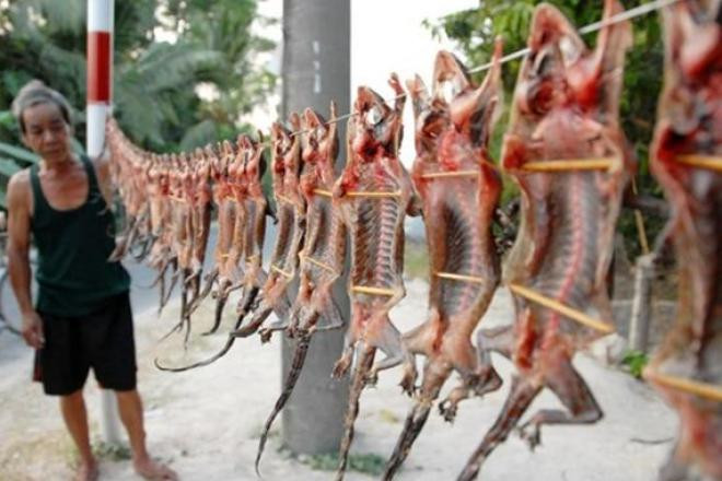 Ở miền Tây có một loại đặc sản nhìn khiếp sợ đó là thằn lằn. Thằn lằn được người dân bắt đem xẻ thịt phơi khô 2 - 3 nắng sau đó xào với các gia vị. Thằn lằn khô được bán với giá 50.000 - 60.000 đồng/con.