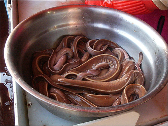 Những đặc sản “nhìn đã sợ” nhưng cứ bán là “hốt bạc“ Nhung dac san “nhin da so” nhung cu ban la “hot bac“