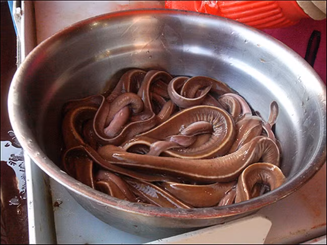 Những đặc sản “nhìn đã sợ” nhưng cứ bán là “hốt bạc“ Nhung dac san “nhin da so” nhung cu ban la “hot bac“