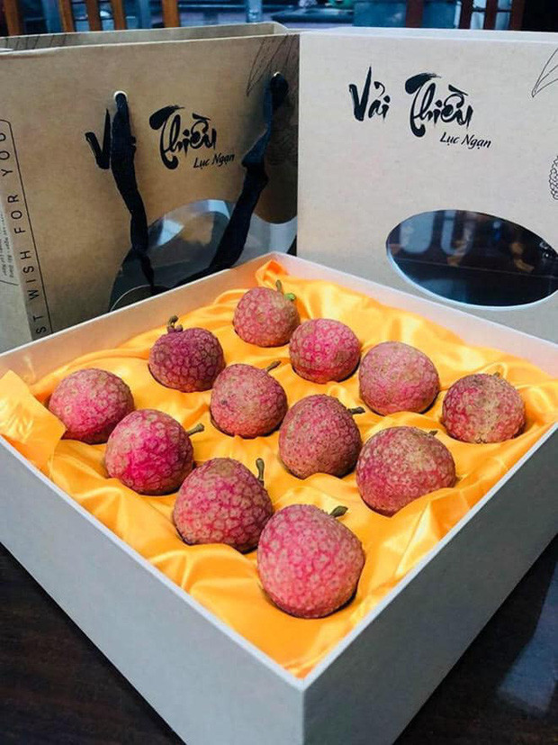 Loại vải được đóng gói cẩn thận trong hộp giấy, bên trong lót vải lụa vàng có giá lên tới hơn 3.000 yên, tương đương 650.000/hộp 12 quả, nghĩa là mỗi quả vải trong hộp này có giá tận 54.000 đồng. Ảnh: Trí thứ trẻ.