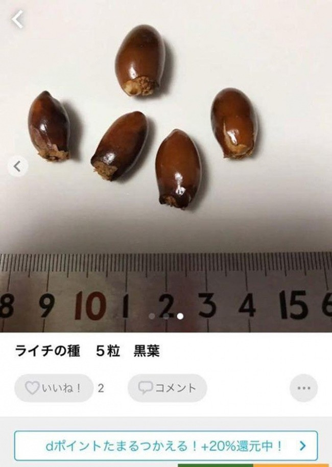 Trên trang thương mại điện tử Alibaba, một túi hạt vải khô được rao bán giá từ 5 - 20 USD (khoảng 115 đến 460 nghìn đồng), tuỳ theo khối lượng túi từ 100 đến 500 gram. Ảnh: Internet Video: Vì sao vải thiều Việt Nam cháy hàng. Nguồn: VTC16