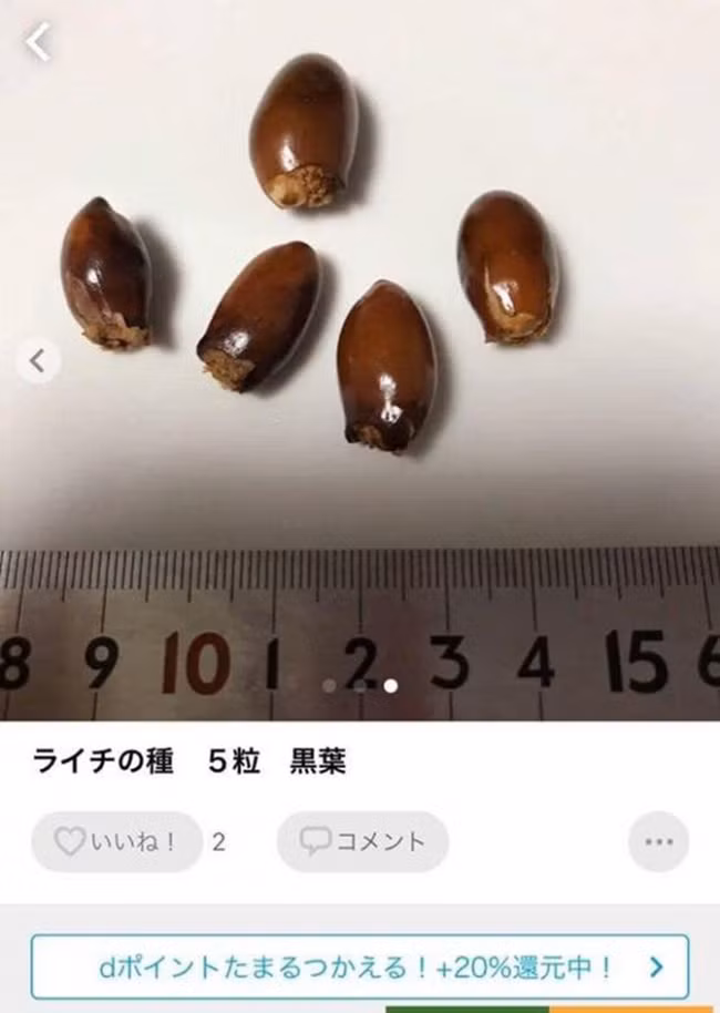 Trên trang thương mại điện tử Alibaba, một túi hạt vải khô được rao bán giá từ 5 - 20 USD (khoảng 115 đến 460 nghìn đồng), tuỳ theo khối lượng túi từ 100 đến 500 gram. Ảnh: Internet Video: Vì sao vải thiều Việt Nam cháy hàng. Nguồn: VTC16