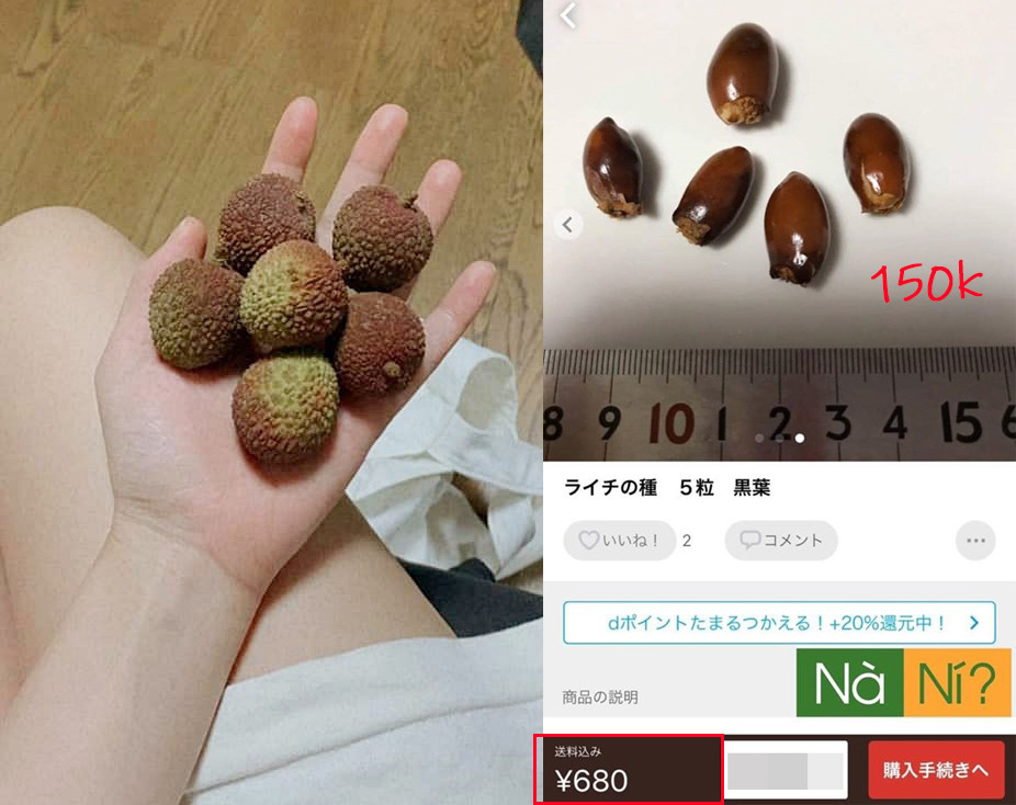 Giá hạt vải bày bán trên các shop online ở Nhật có giá quy ra tiền Việt khoảng 140.000 đồng/5 hạt vải. Ảnh: Tiin.