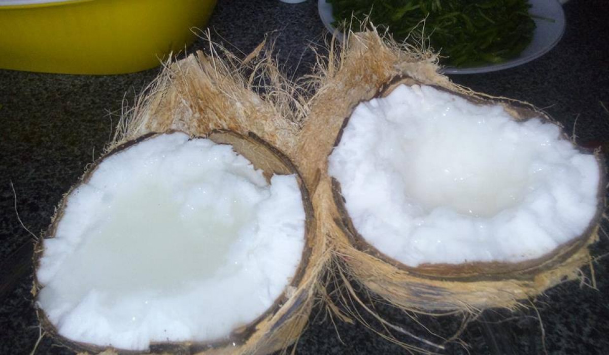 Dừa sáp có thể xay làm sinh tố, làm thạch dừa mứt dừa, kem dừa... rất ngon và bổ dưỡng. Nguồn ảnh: Internet