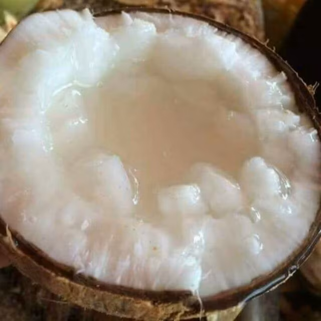 Nước dừa sáp đặc sệt trong veo như sương sa.