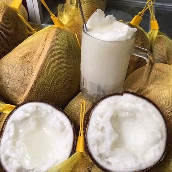 Một trái dừa sáp hiện nay được bán với giá khoảng 150.000 đồng, có nơi có nơi còn lên đến 300.000 đồng. Trong khi giá của một trái dừa thường chỉ dao động từ 10.00 - 25.000 đồng/trái.