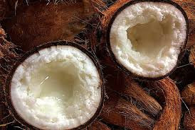 Tuy nhiên, mỗi cây dừa sáp mỗi năm chỉ cho vài chục quả, nhưng trong số này chỉ có khoảng 1/3 có sáp, những trái còn lại là dừa thường và giá trị thương mại chỉ ngang với những trái dừa sáp.