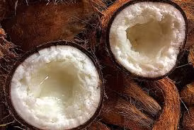 Tuy nhiên, mỗi cây dừa sáp mỗi năm chỉ cho vài chục quả, nhưng trong số này chỉ có khoảng 1/3 có sáp, những trái còn lại là dừa thường và giá trị thương mại chỉ ngang với những trái dừa sáp.