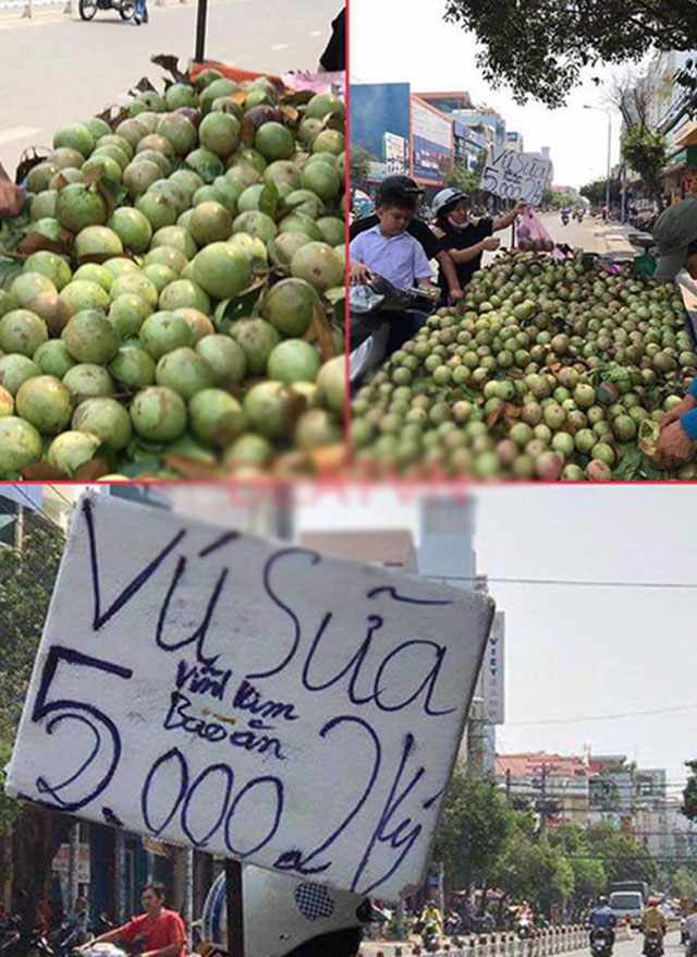 Số 2 nằm lọt thỏm trong số 5 khiến khách lầm tưởng chỉ 5.000 đồng/kg vú sữa. Thế nhưng, nhìn kỹ mới thấy là 25.000 đồng/kg. Ảnh: Internet