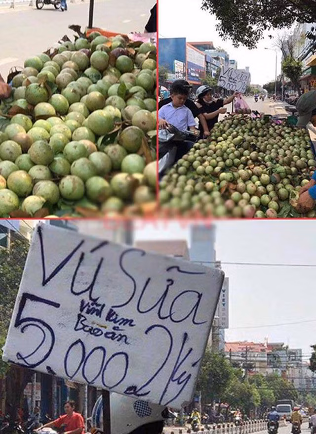 Số 2 nằm lọt thỏm trong số 5 khiến khách lầm tưởng chỉ 5.000 đồng/kg vú sữa. Thế nhưng, nhìn kỹ mới thấy là 25.000 đồng/kg. Ảnh: Internet