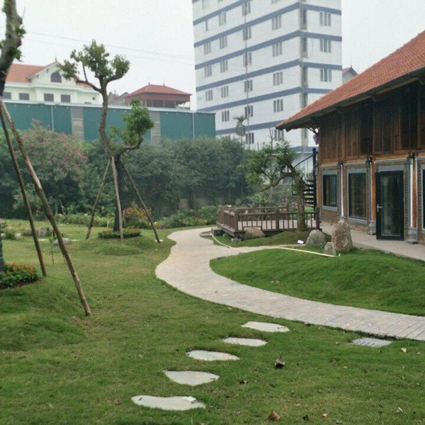 Bao quanh nhà là lối đi lát đá được phủ xanh bằng thảm cỏ non, trông không khác một khu resort 5 sao. Ảnh: Dân Việt.