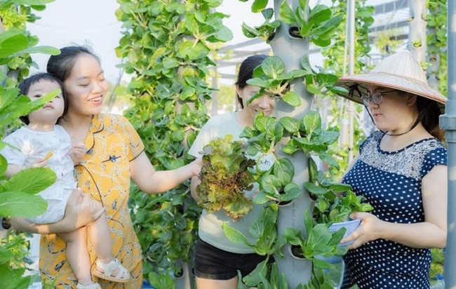 Mỗi ngày gia đình anh đều đủ rau sạch ăn và bán cho cả cư dân. Ảnh: Dân Việt