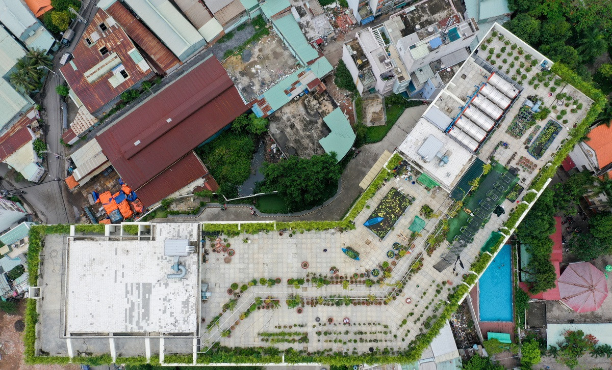 Vì vậy, khi chuyển về chung cư ở phường Bình Trị Đông, anh đặt vấn đề này với ban quản lý, đảm bảo với họ sẽ thiết kế vườn cây không ảnh hưởng đến hạ tầng kỹ thuật của toà nhà. Ảnh: Vnexpress