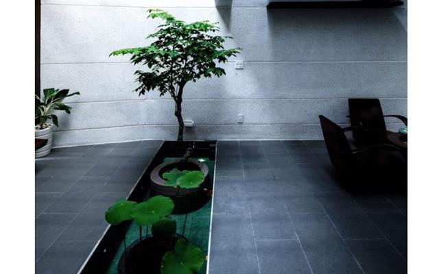 Không gian hang động đậm chất thiên nhiên được tái hiện qua những chi tiết như tiểu cảnh, vườn cây, giếng trời và hình dáng trần nhà thay đổi theo từng lớp không gian. Nguồn ảnh: Archdaily