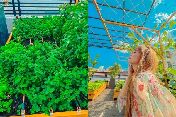 Khu vườn cũng là nơi để vợ Lê Hoàng "sống ảo".