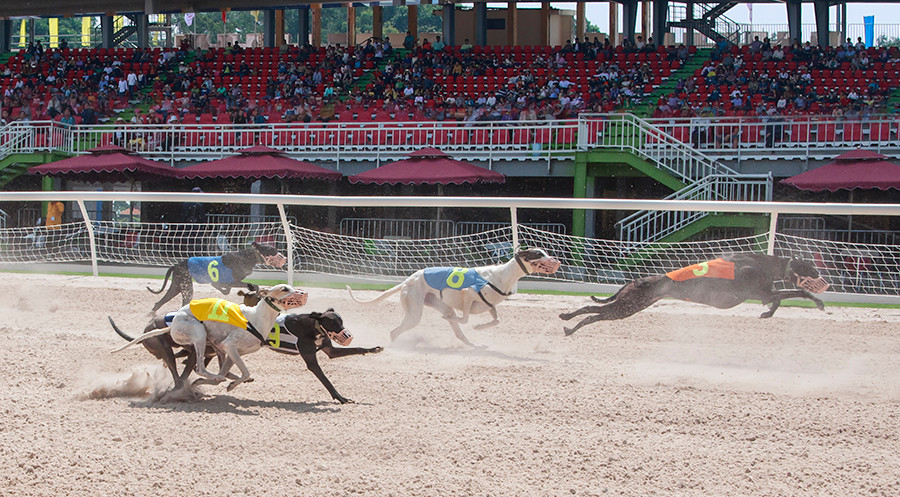 Trường đua cũng trở thành “điểm nhấn” trên bản đồ du lịch Đại Nam. Ảnh: Dainam