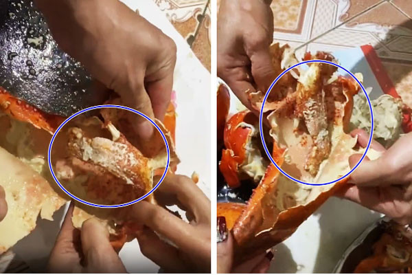 Mua tom hum Alaska hon 3kg ve an, ca nha cay dang khi dap ra-Hinh-2