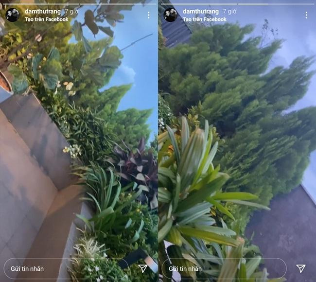 Cây cối, hoa cỏ xanh mướt tạo cảm giác gần gũi với thiên nhiên.