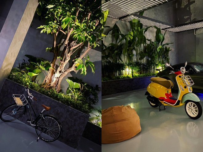 Trong nhà cũng có nhiều khoảng xanh đẹp mắt.