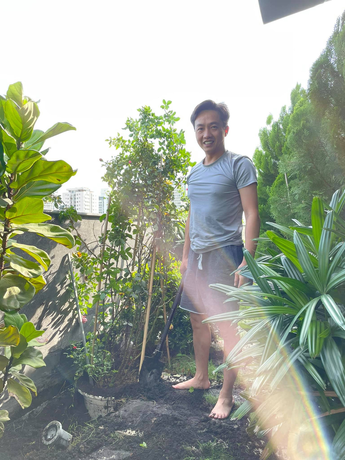 Trên sân thượng là khu vườn với rất nhiều cây xanh bao phủ.