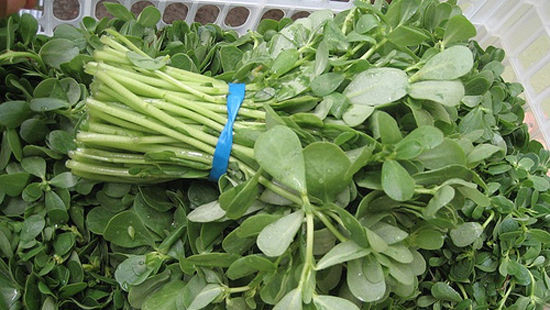 Tại một số khu đô thị lớn ở Hà Nội, việc tìm rau sam không dễ dàng nên giá bán khá đắt, từ 20.000 đồng/bó (5-6 lạng).