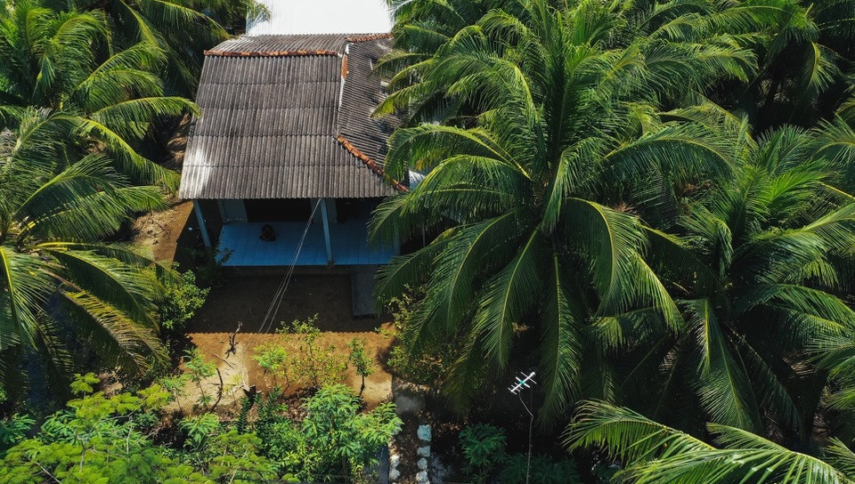 Đó là căn nhà cấp 4 lợp mái tôn nhỏ nằm lọt thỏm giữa những rặng dừa xanh mát. Ảnh: Zing