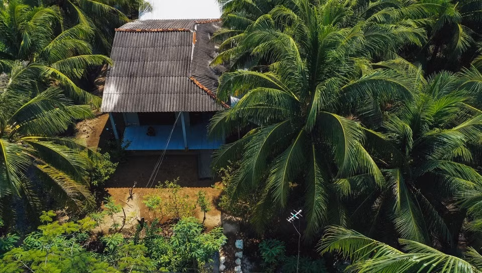 Đó là căn nhà cấp 4 lợp mái tôn nhỏ nằm lọt thỏm giữa những rặng dừa xanh mát. Ảnh: Zing