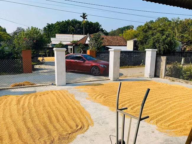 Cổng nhà được xây kiên cố, có hàng rào bảo vệ chắc chắn. Ảnh: Dân Việt