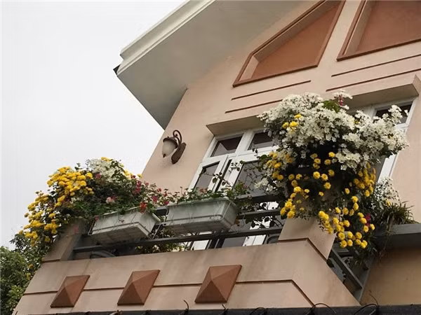 Mỗi khi có thời gian rảnh, Bích Phương thường trở về quê nhà tại Quảng Ninh. Được biết, bố mẹ, em trai của nữ ca sĩ vẫn đang sinh sống. Ảnh: Tintuconline.