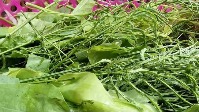 Giá rau thối khoảng 50.000 đồng/kg, thời điểm khan hiếm giá lên tới 90.000 đồng/kg. Dù giá khá đắt nhưng rau vẫn đắt khách, hàng về không đủ để bán.