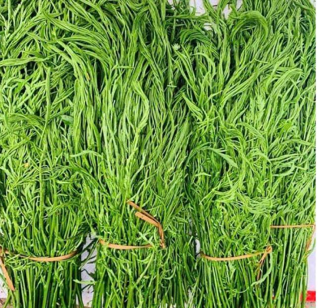 Rau thối là loại rau mọc dại tại nhiều cánh rừng ở vùng Tây Bắc. Dù mọc dại và khá "thối", chúng có giá không hề rẻ.