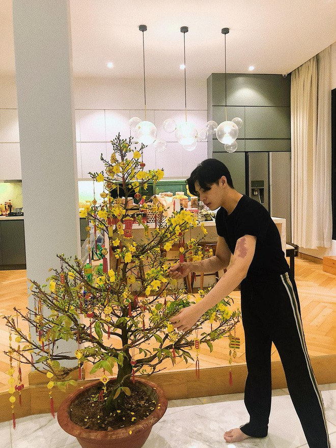 Vào dịp Tết, Noo Phước Thịnh trang hoàng nhà với chậu mai vàng lớn. Ảnh: FBNV.