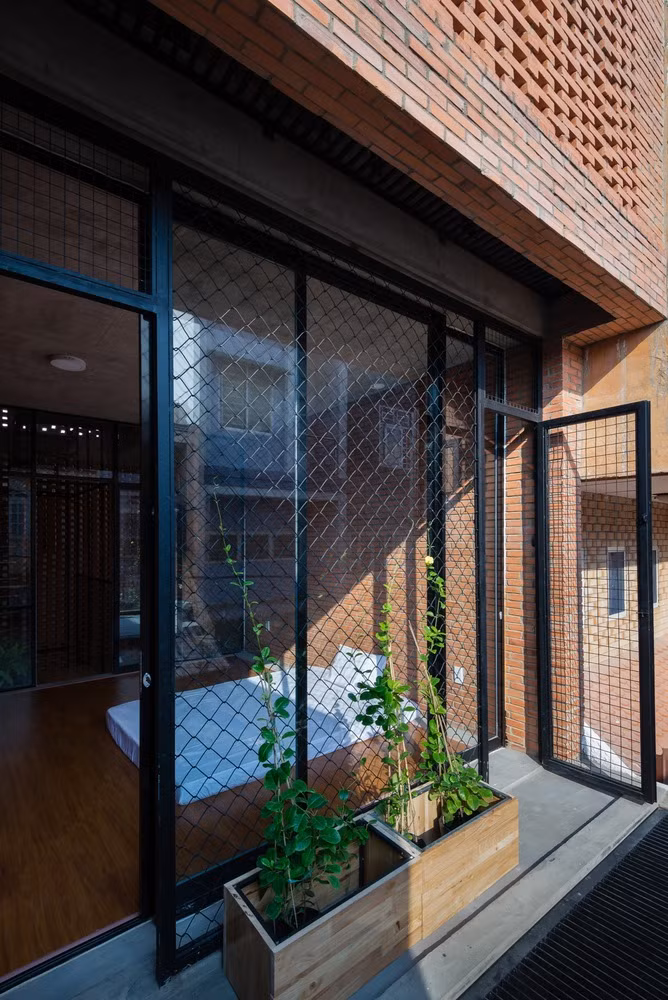 Những cây dây leo này sẽ giúp che nắng và lọc bụi cho ngôi nhà.