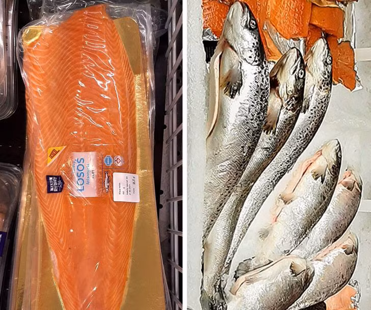 Cá hay hải sản đông lạnh để quá lâu không còn ngon và không tốt cho sức khỏe. Cá giảm giá trong siêu thị có thể bị đông lạnh quá lâu, phần thịt không còn chắc.